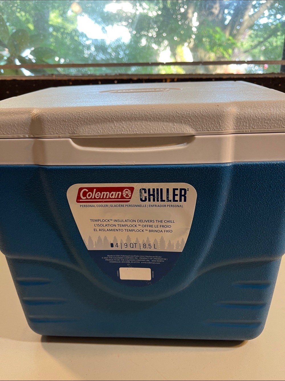 Coleman Blue and White Personal Chiller Cooler